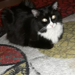 Meet your Posher, Tess